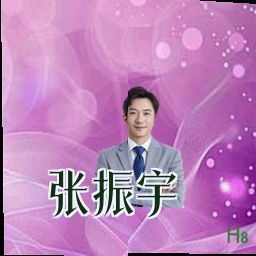 张振宇